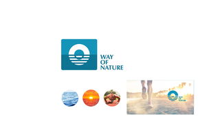 从LOGO到品牌灵魂 企业形象设计的全方位构建